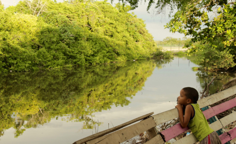 visítalos esta Navidad y Año Nuevo

 – Primer plano
