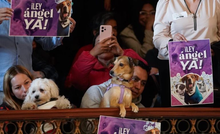 un hombre estrangula a un perro durante una pelea y el padre muere tras un fuerte shock; el presunto autor fue capturado

 – Primer plano