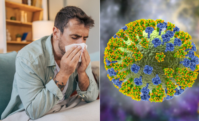 El Valle del Cauca se prepara ante una posible ola del virus de la influenza H3N2

 – Primer plano