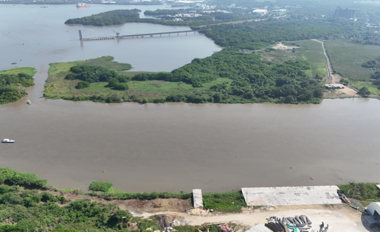 las graves consecuencias ambientales y económicas que los daños ambientales causados ​​por el Canal del Dique pueden tener en Cartagena

 – Primer plano