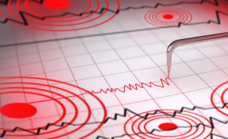 conocer la magnitud, epicentro y zonas afectadas

 – Primer plano