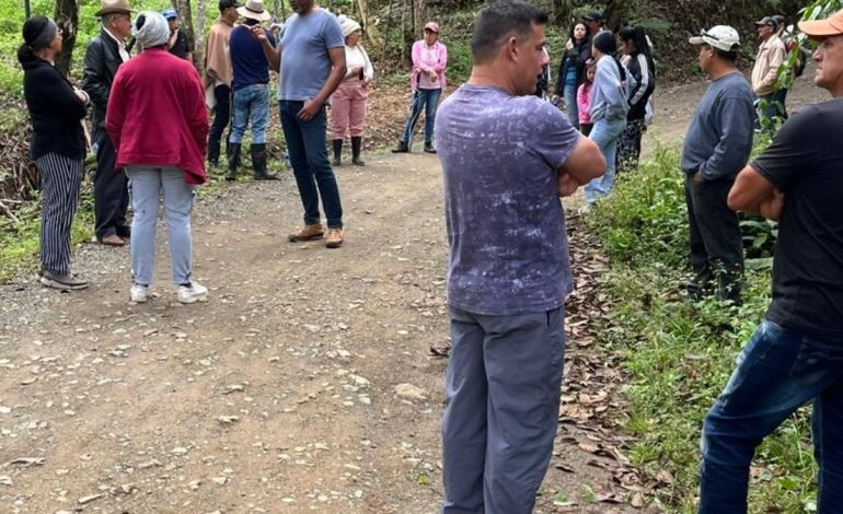 «No es posible construir apartamentos», se lee en el documento del alcalde

 – Primer plano