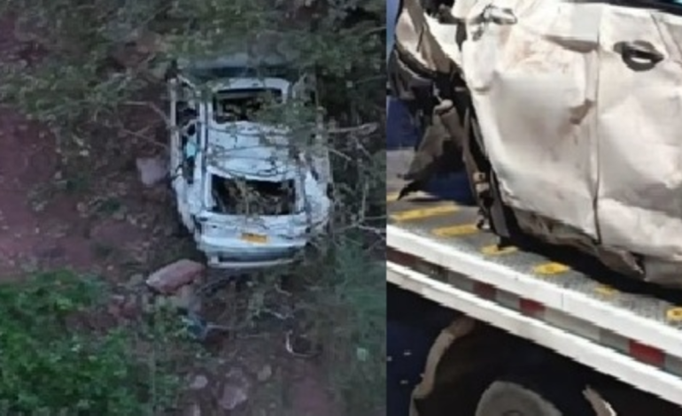 Se bajaron del auto para observar el paisaje y sin el freno de mano se hubieran bajado del auto.

 – Primer plano