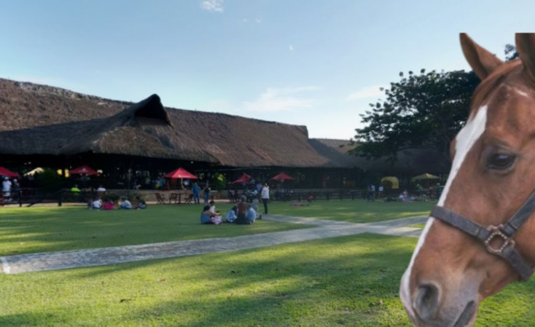 El exclusivo restaurante Palmira, donde una niña de cuatro años murió tras caer de un caballo, se pronunció: «Cooperamos»

 – Primer plano