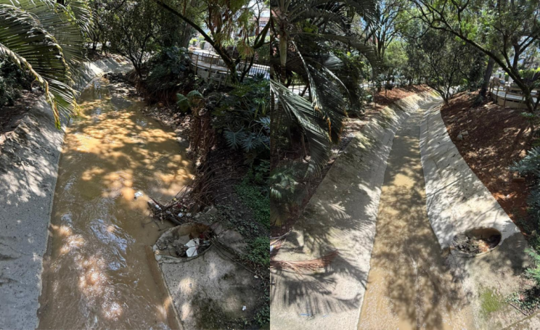 El progreso incluye la restauración de arroyos y la protección de más de 3.000 hectáreas.

 – Primer plano