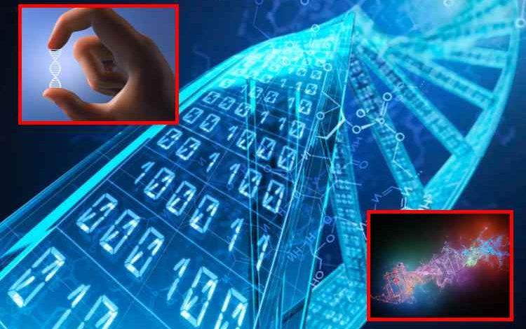 ADN sintético: el futuro del almacenamiento

 – Primer plano