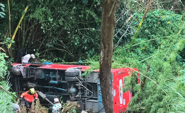 «Mi cara se llenó de cristal»

 – Primer plano