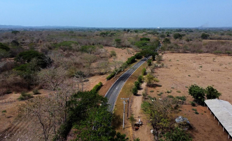 El gobierno afirma que está implementando el 50% del plan de desarrollo

 – Primer plano