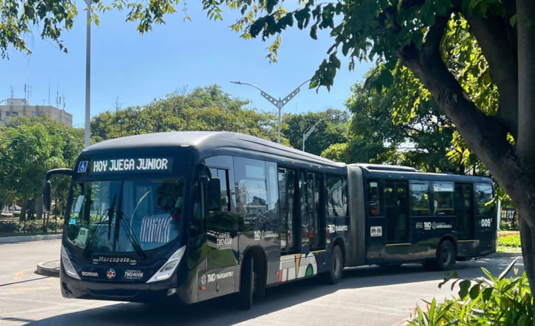 Los servicios urbanos adicionales estarán disponibles una vez finalizado el juego.

 – Primer plano