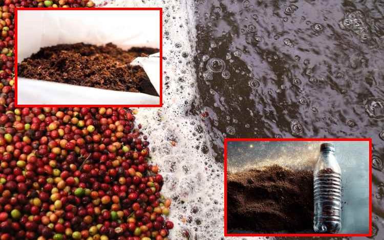 Los residuos del café eliminan hasta el 98% del plomo del agua

 – Primer plano