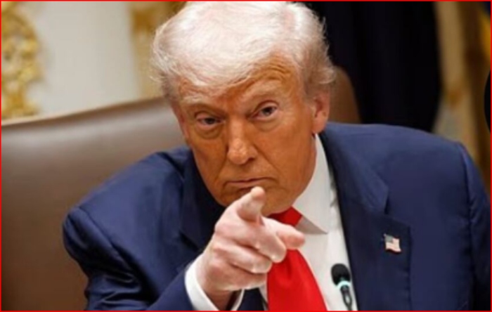 Trump calificó de «débiles» a los líderes europeos por el modelo migratorio

 – Primer plano