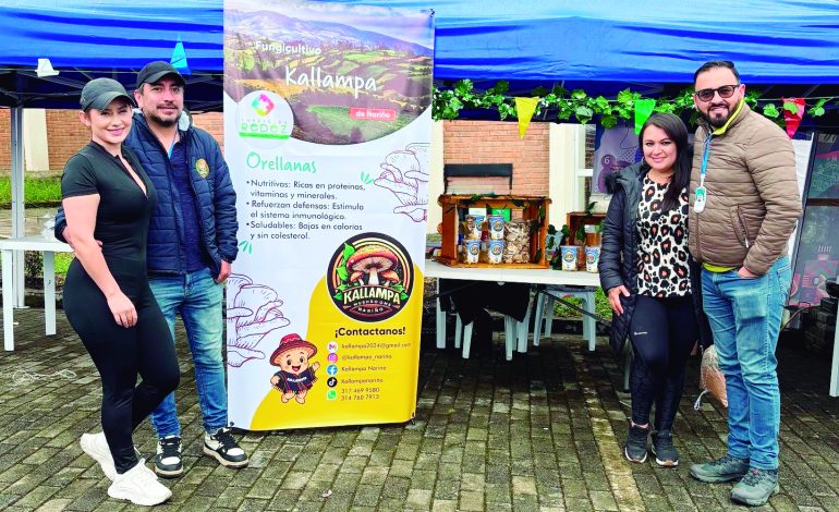 Kalampa: el renacimiento de los hongos en Nariño

 – Primer plano