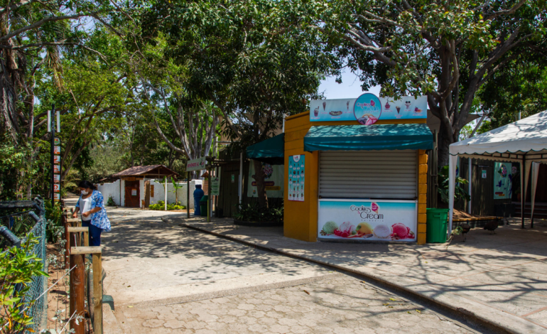 Zoológico de Barranquilla ajusta tarifas e inicia debate urbano sobre sostenibilidad, bienestar animal y urgencia de transferencia estructural

 – Primer plano