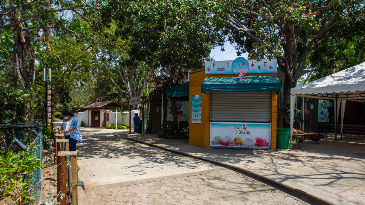 Zoológico de Barranquilla ajusta tarifas e inicia debate urbano sobre sostenibilidad, bienestar animal y urgencia de transferencia estructural

 – Primer plano