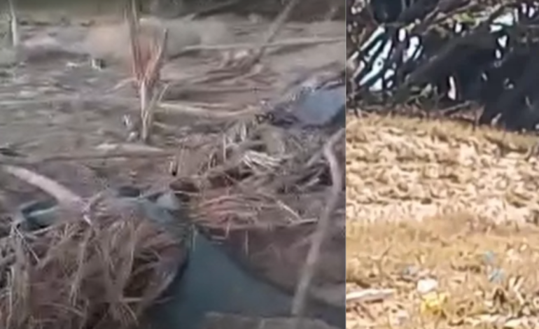 Se encontraron restos de un misil estadounidense.

 – Primer plano