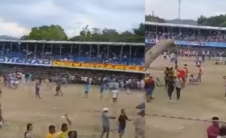 Un hombre murió tras atropellar a Corraleja

 – Primer plano