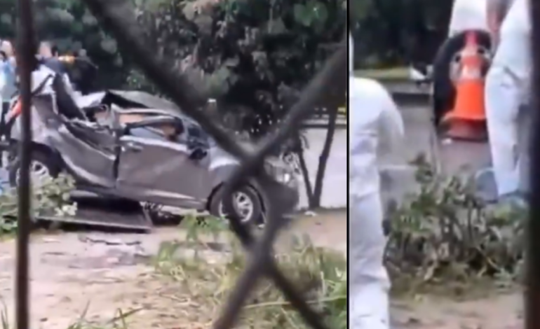 el conductor del auto también murió

 – Primer plano