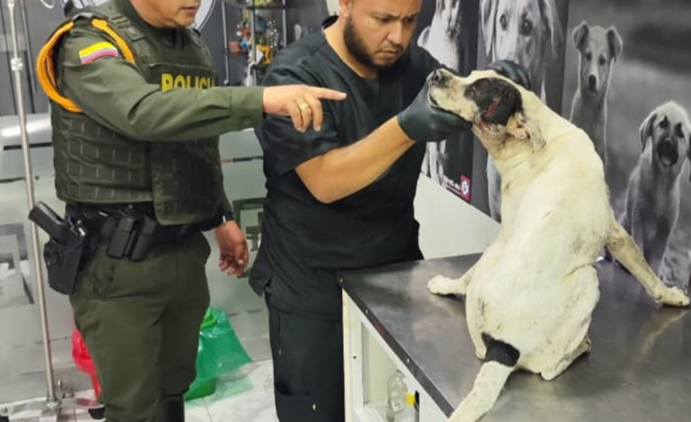 sobre el abuso que causó indignación en Barrancabermeja

 – Primer plano