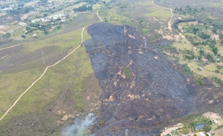 casas sobrevivieron al incendio

 – Primer plano