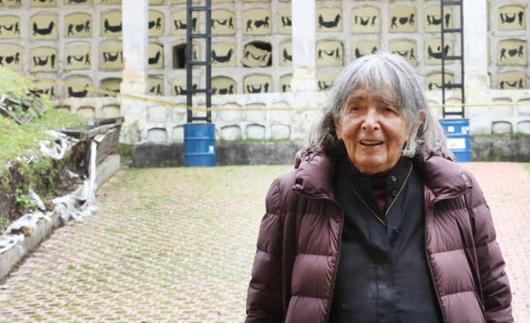 ¿Quién fue la famosa pintora colombiana Beatriz González, fallecida el 9 de enero? Aquí están sus obras más famosas y el legado que dejó.

 – Primer plano