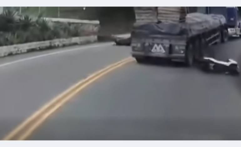 el motociclista estuvo a centímetros de ser aplastado por las llantas del tractocamión

 – Primer plano