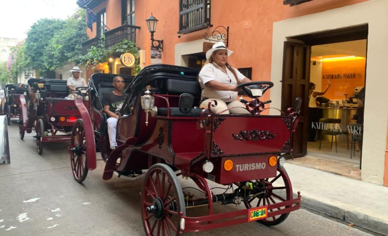 El juzgado, la Fiscalía General y la Defensoría del Pueblo se niegan a proteger contra los coches eléctricos que ya circulan por el Centro Histórico

 – Primer plano