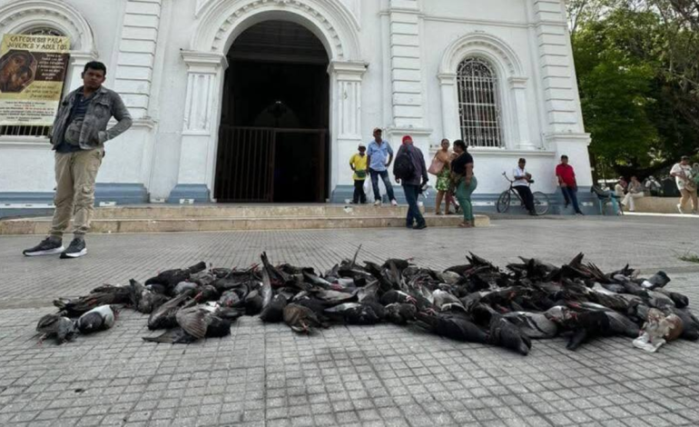 El alcalde exige investigación y protección del medio ambiente

 – Primer plano