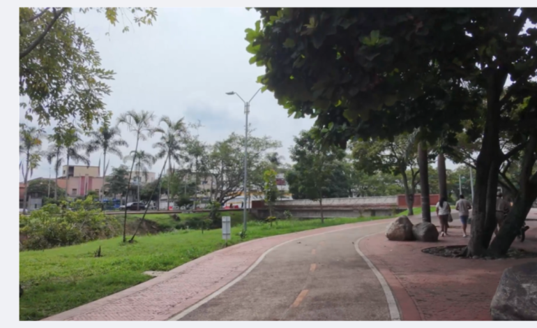 Así, gracias a la ciudadanía, se está llevando a cabo la reconstrucción de este pequeño pulmón de la capital del Valle

 – Primer plano