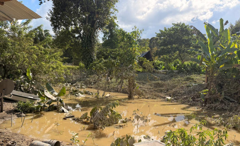La Defensoría del Pueblo declaró alerta humanitaria en Santa Bárbara de Iscuandé en Nariño tras crecida del río

 – Primer plano