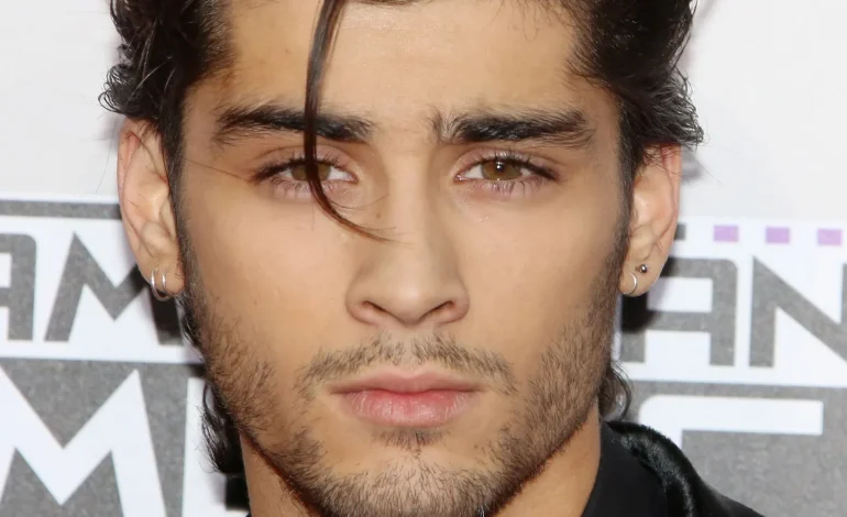 Zayn confirma gira mundial y fans están emocionados 

 – Primer plano