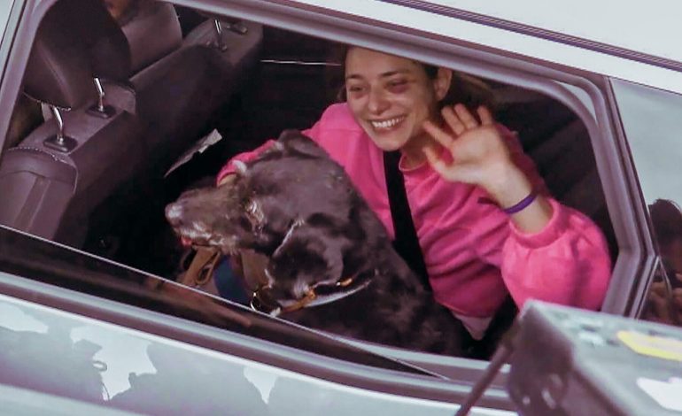 Boro, el perro que volvió a casa tras el accidente de tren en España

 – Primer plano