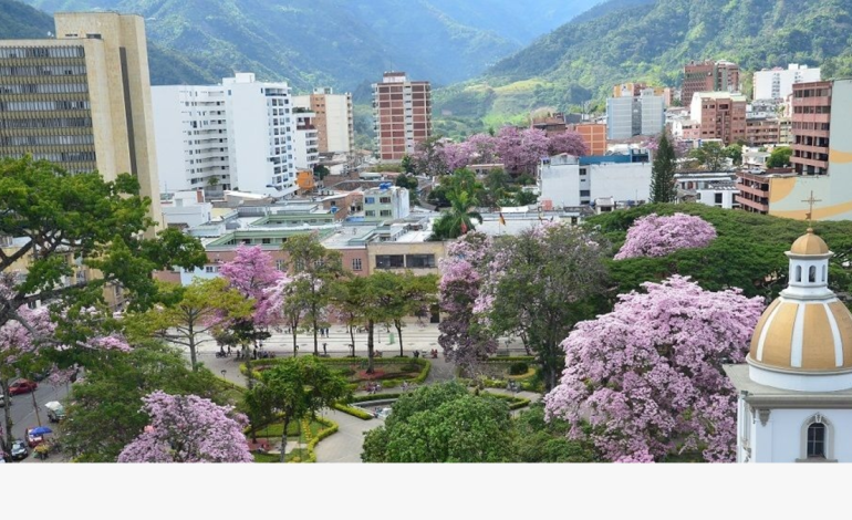 Los asesinos atacaron con armas de fuego y escaparon en una motocicleta.

 – Primer plano