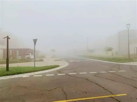 Una niebla extremadamente densa paraliza zonas de Dubái y la costa de los Emiratos Árabes Unidos

 – Primer plano
