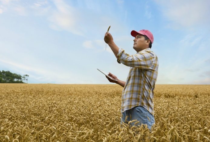 Según informe de la CRC, Movistar es líder en fibra óptica en Colombia

 – Primer plano