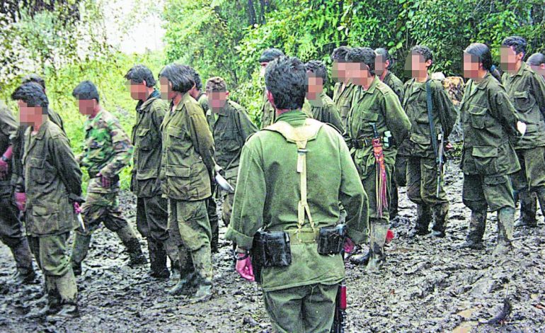 Así es el operativo de grupos armados que siembran el terror en la zona de Nariño utilizando drones y niños en alto riesgo de reclutamiento: dos municipios afectados

 – Primer plano