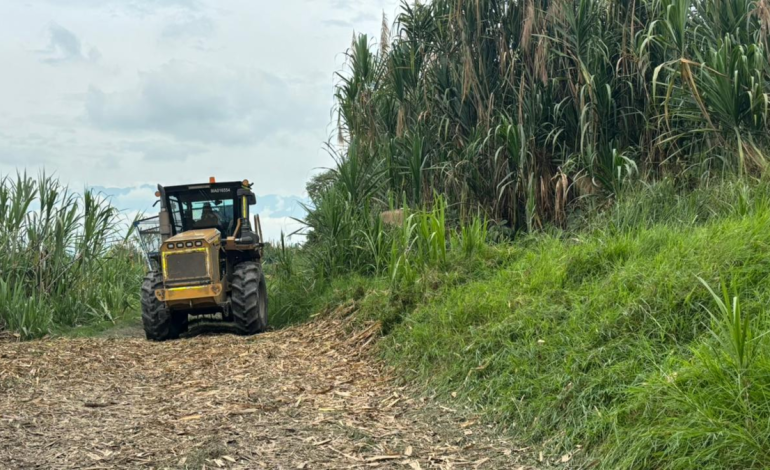 Grupos armados, allanamiento de 5.000 hectáreas de caña de azúcar, extorsiones, crisis económica y lluvias afectan a los azucareros: un llamado al gobierno

 – Primer plano
