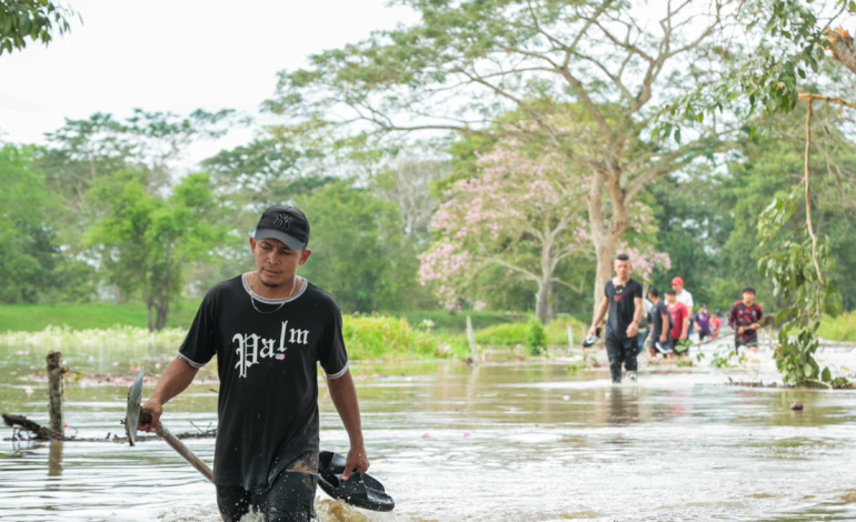 Más de 364.000 personas están infectadas

 – Primer plano
