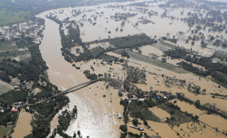 Más de 120.000 personas están enfermas

 – Primer plano