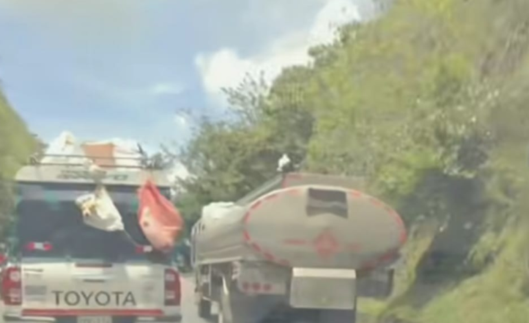 Se graba camioneta cargando dos perros colgados en medio de peligros en la Carretera Panamericana

 – Primer plano
