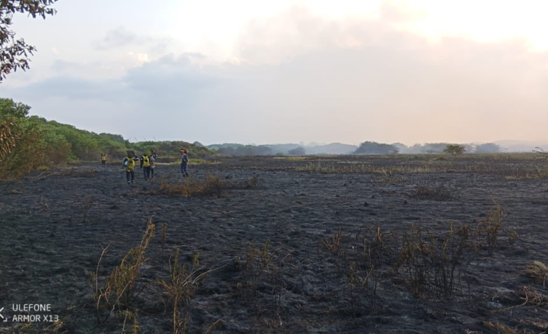 Se reaviva la preocupación por el medio ambiente.

 – Primer plano