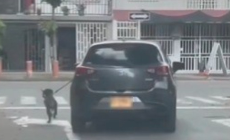 Autoridades investigan presunto caso de abuso sexual en el norte de Cali

 – Primer plano