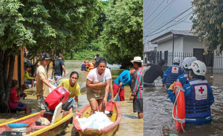 donaciones y puntos de recogida

 – Primer plano