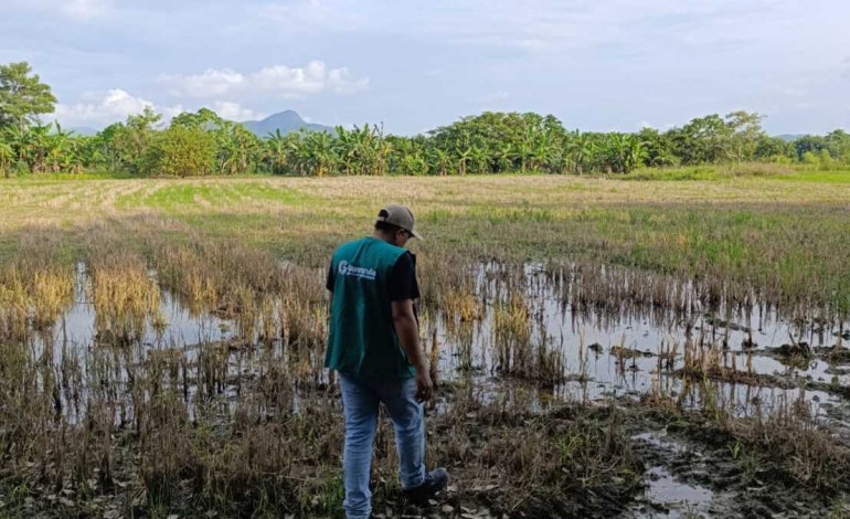 “Llevamos 4 años inundados” – Lucy García, Gobernadora de Sucre

 – Primer plano
