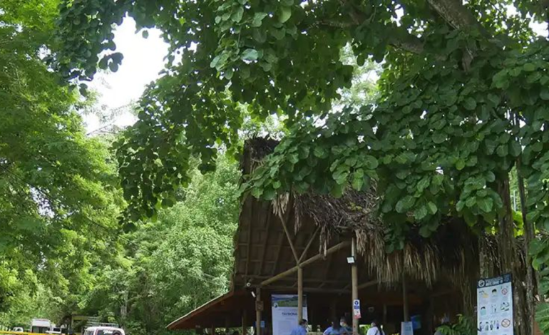 Conflicto basado en amenazas, bloqueos, entradas ilegales y control territorial.

 – Primer plano