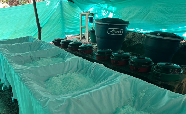 De esta manera se aseguró el material.

 – Primer plano