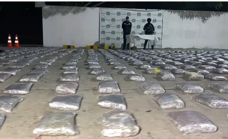 Confiscan más de media tonelada de marihuana en domicilio; El valor de la droga se estima en casi 3 mil millones de dólares.

 – Primer plano