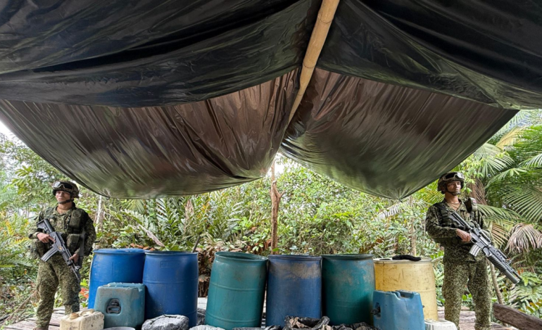 Destruyen 37 laboratorios de coca y confiscan 2,3 toneladas de droga

 – Primer plano