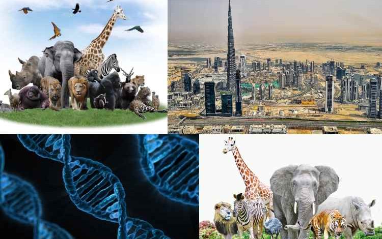 Emirates está construyendo la primera bóveda biológica de ADN del mundo

 – Primer plano