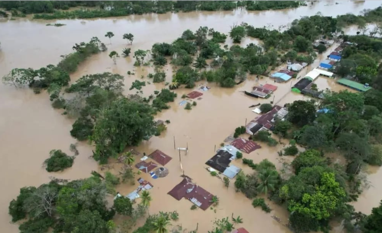 Las inundaciones ya han causado más de 15.000 víctimas y graves daños en varios municipios

 – Primer plano