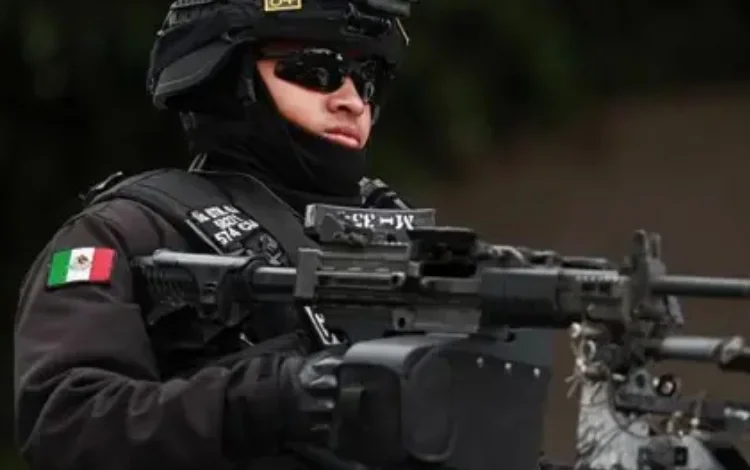 Mujeres en el círculo íntimo del Mencho: claves para las finanzas y la estrategia del cartel

 – Primer plano